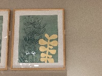 CAI Sale Item