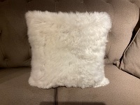 CAI Sale Item