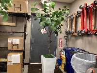 CAI Sale Item