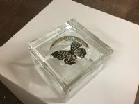 CAI Sale Item